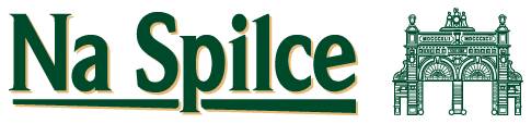 logo klienta