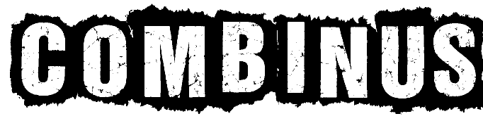 logo Combinus